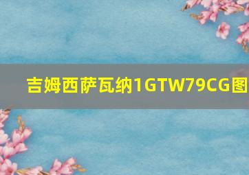 吉姆西萨瓦纳1GTW79CG图片