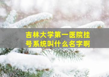 吉林大学第一医院挂号系统叫什么名字啊