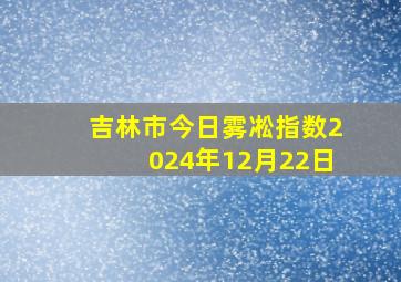 吉林市今日雾凇指数2024年12月22日