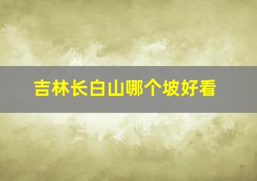 吉林长白山哪个坡好看