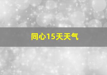 同心15天天气