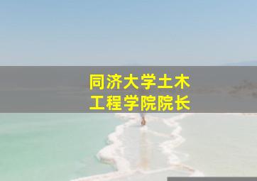 同济大学土木工程学院院长