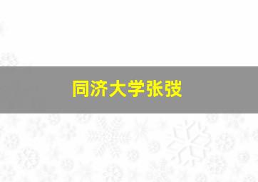 同济大学张弢