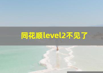 同花顺level2不见了