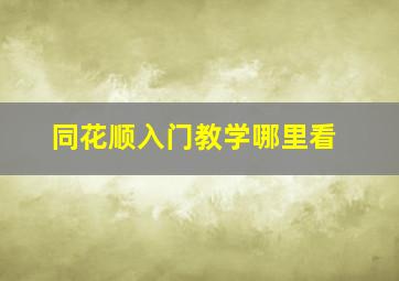 同花顺入门教学哪里看