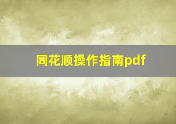 同花顺操作指南pdf