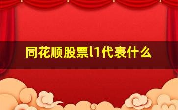 同花顺股票l1代表什么