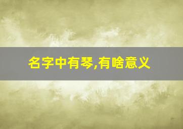 名字中有琴,有啥意义