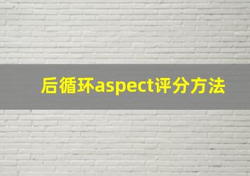 后循环aspect评分方法