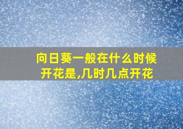 向日葵一般在什么时候开花是,几时几点开花