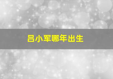 吕小军哪年出生