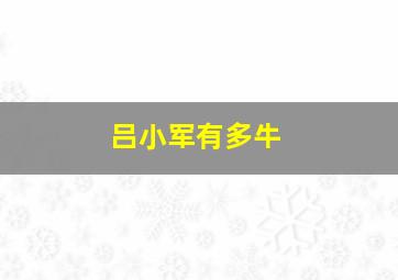 吕小军有多牛