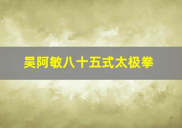 吴阿敏八十五式太极拳