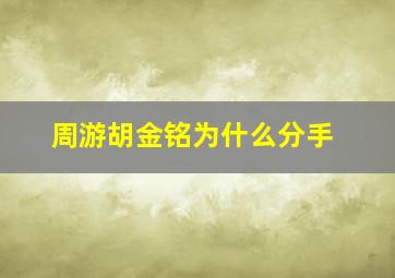 周游胡金铭为什么分手