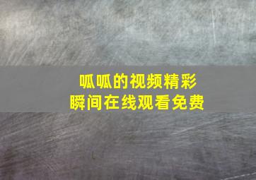 呱呱的视频精彩瞬间在线观看免费