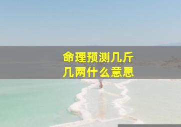 命理预测几斤几两什么意思