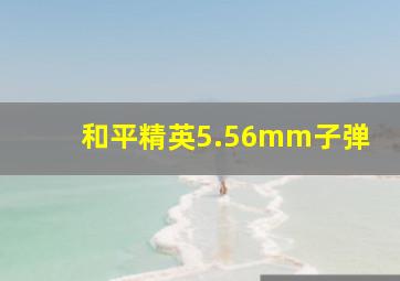 和平精英5.56mm子弹