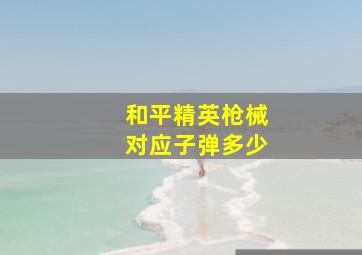 和平精英枪械对应子弹多少