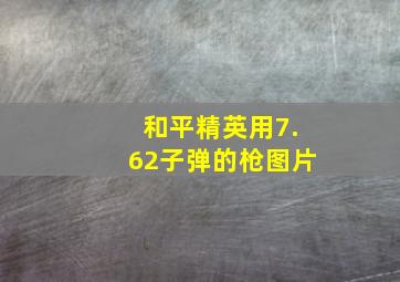 和平精英用7.62子弹的枪图片