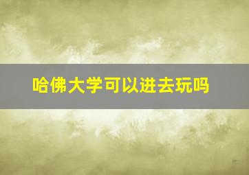 哈佛大学可以进去玩吗