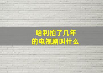 哈利拍了几年的电视剧叫什么