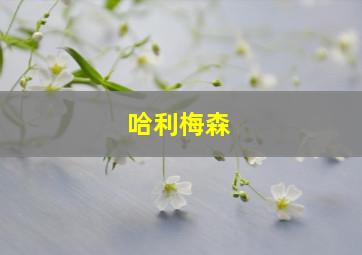 哈利梅森