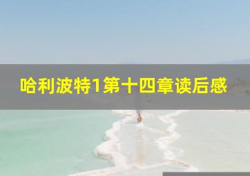 哈利波特1第十四章读后感