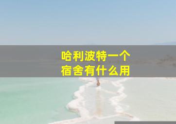 哈利波特一个宿舍有什么用