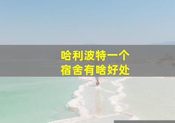 哈利波特一个宿舍有啥好处