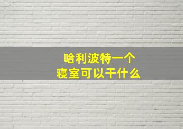 哈利波特一个寝室可以干什么