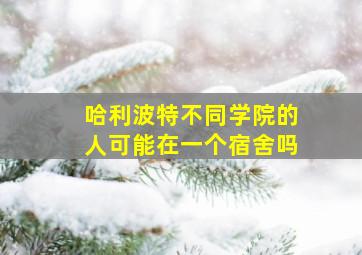 哈利波特不同学院的人可能在一个宿舍吗