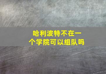 哈利波特不在一个学院可以组队吗