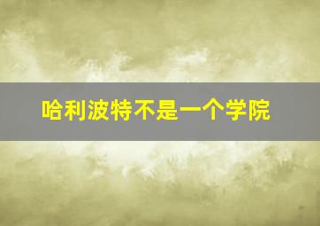 哈利波特不是一个学院