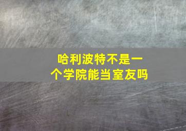 哈利波特不是一个学院能当室友吗