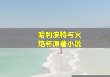 哈利波特与火焰杯原著小说