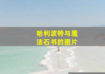 哈利波特与魔法石书的图片