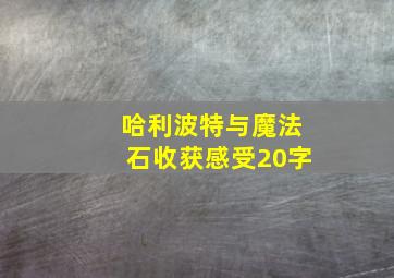 哈利波特与魔法石收获感受20字