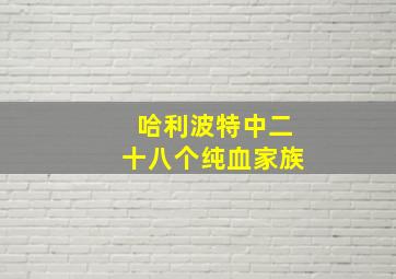 哈利波特中二十八个纯血家族