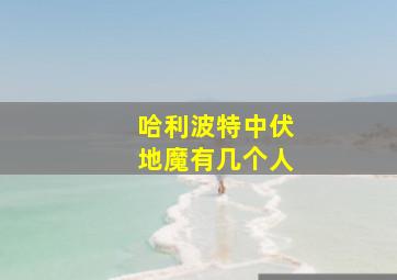 哈利波特中伏地魔有几个人