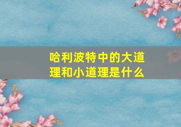 哈利波特中的大道理和小道理是什么