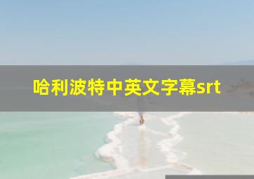 哈利波特中英文字幕srt