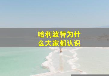 哈利波特为什么大家都认识