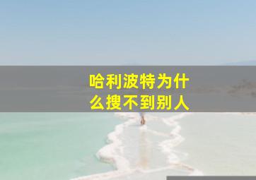 哈利波特为什么搜不到别人