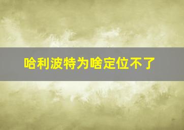 哈利波特为啥定位不了