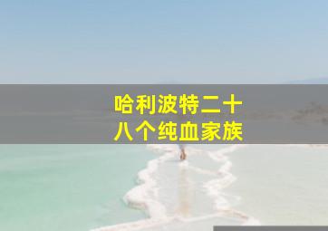 哈利波特二十八个纯血家族