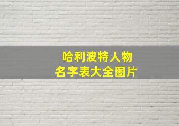 哈利波特人物名字表大全图片