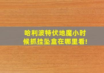 哈利波特伏地魔小时候抓挂坠盒在哪里看!