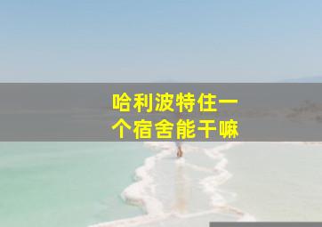 哈利波特住一个宿舍能干嘛