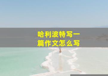 哈利波特写一篇作文怎么写