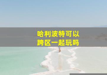 哈利波特可以跨区一起玩吗